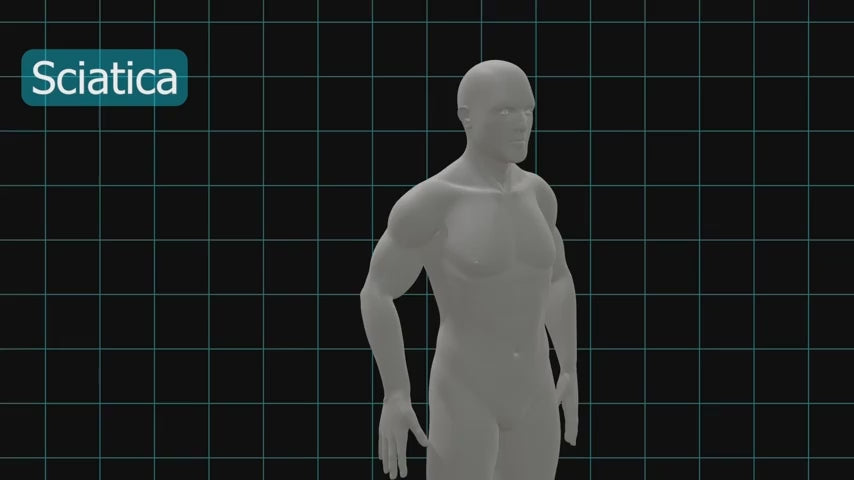 Cintura Ortopedica per Schiena e Postura